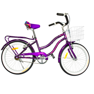 Bicicleta Dama BIP-04