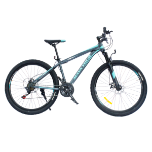 Bicicleta Deportiva BI-275 ALTERNO 24014