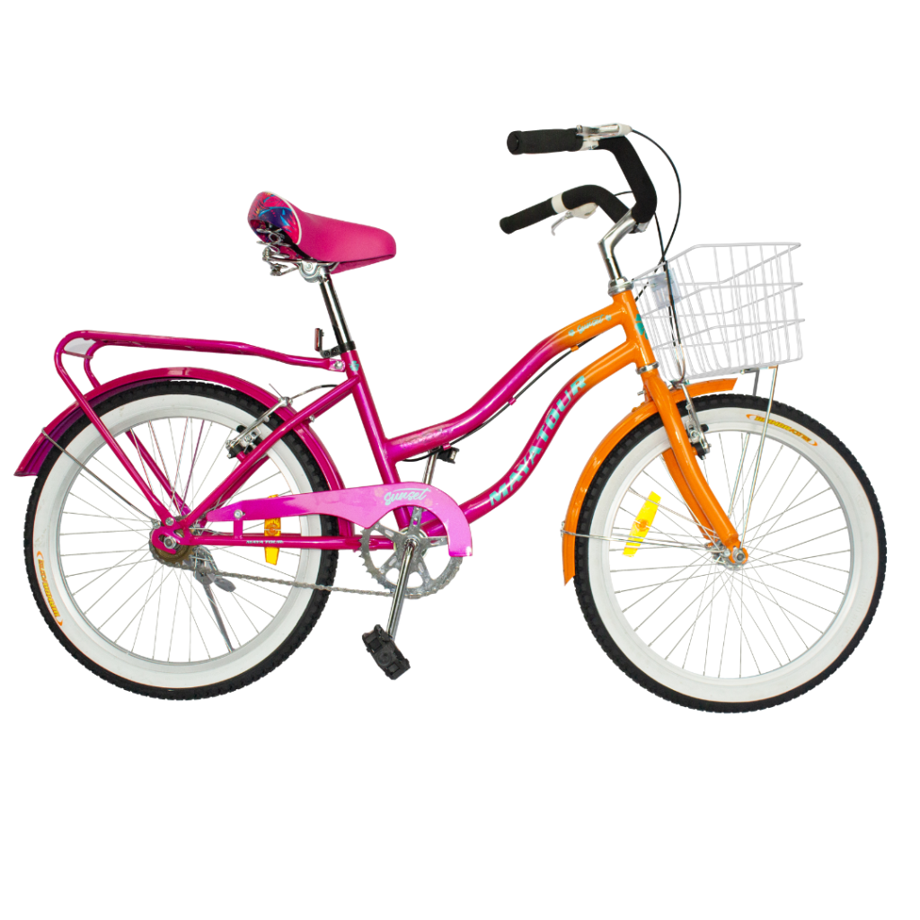 Bicicleta Dama BIP-04 - Imagen 2
