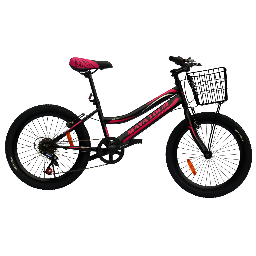 Bicicleta Dama BI-220 ALTENRO 27479 - Imagen 4