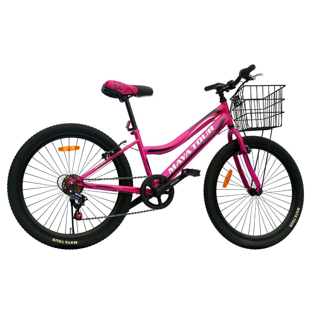 Bicicleta Dama BI-220 ALTENRO 27479 - Imagen 3