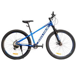 Bicicleta Gladiador BI-295