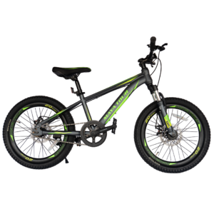 Bicicleta BI-210 Tamaño 20